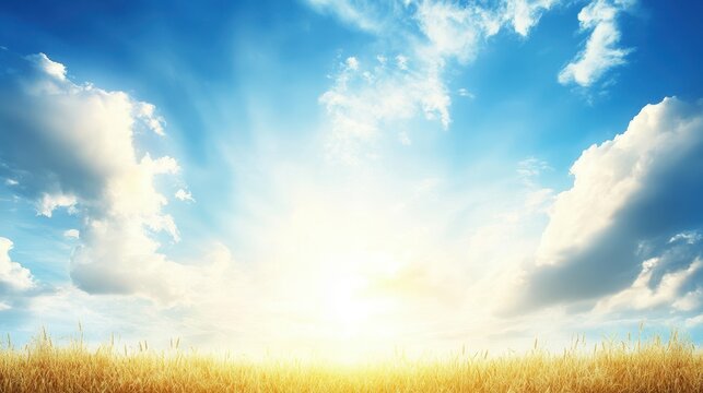 A serene landscape featuring a golden field beneath a bright blue sky with scattered clouds, ideal for use in nature-related projects, agricultural themes, or as a backdrop for inspirational quotes,