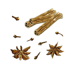 Watercolor set of spices for bakery star anise, cinnamon sticks and cloves. 