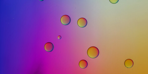 Decorative Design Featuring Artistic Patterns and Gold Details