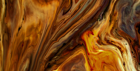 Decorative Design Featuring Artistic Patterns and Gold Details