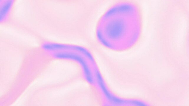 Soft holographic gradient background featuring fluid pastel shades of purple and pink with noise, loop
