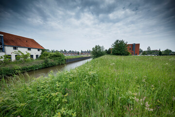 Fototapeta premium Canal flanked by vegetation, with residential buildings beyond. Cloudy sky overhead. A tranquil urban scene.