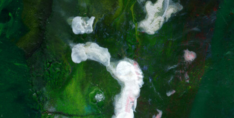 Transcendent Inks: A Mesmerizing Dive into the World of Liquid Art
