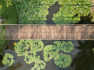 A bridge over a pond with lily pads