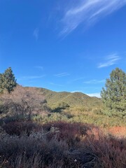 Fototapeta premium Lytle Creek
