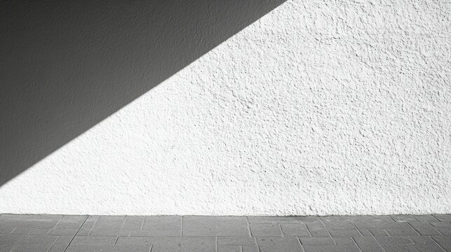 A plain white wall split evenly by the strong midday sun, creating a chiaroscuro effect.