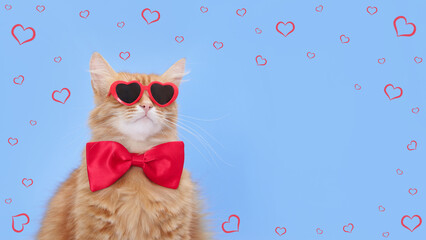 Cat in red heart-shaped glasses and bow tie, blue background, Valentine's Day theme, love, feline with heart glasses, cat with bow tie, Valentine's cat, romantic pet. Copy space. Love concept.  © Mariia