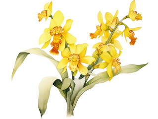 Vibrant Yellow Orchid Flower Arrangement
