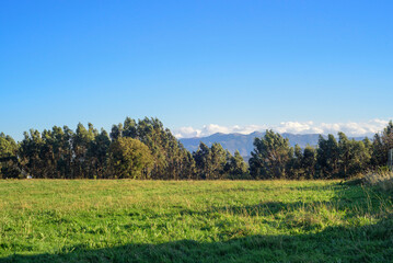 Monte en el horzonte tras pradera verde