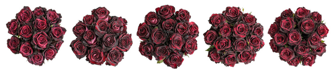 Obraz premium set of isolated bouquets of red roses