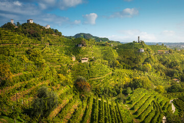 Prosecco Hills, vineyards, San Lorenzo church and Credazzo towers. Unesco Site. Veneto, Italy