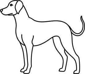 dog isolated on white background, line art