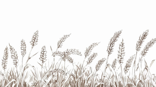 Hand-drawn wheat field sketch of a village in vector format