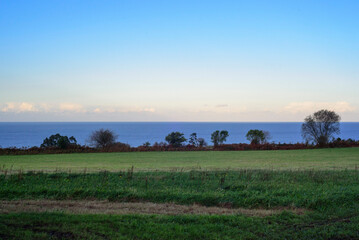 Horizonte marino tras pradera de hierba
