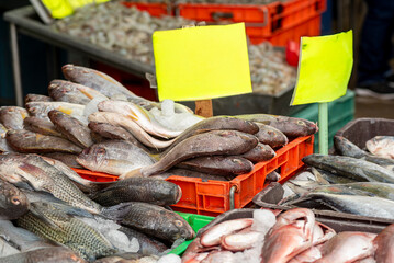 Gepeces, alimento, fresco, marisco, mercado, crudo, mar, salubre, pesca, rojo, blanco, animal,...