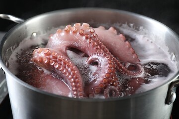 Fresh octopus boiling in pan on stove, closeup