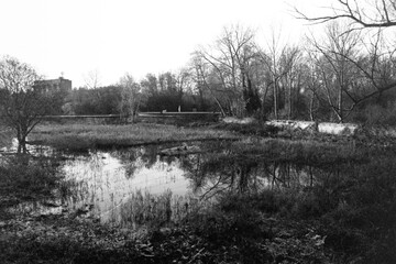 Middlesex filter beds nature reserve reflecting on the river lea in monochrome