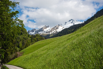 Obraz premium Scenic Path in the Swiss Alps at Maria-Rickenbach