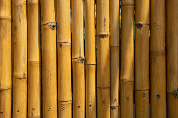The bamboo background. Japan nature. Bamboo trees texture. Bamboo forest. Background Bamboo for banner, backdrop or texture