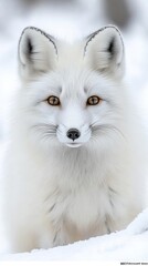 An Arctic fox camouflages in the snow, showcasing its thick white fur in a serene winter setting