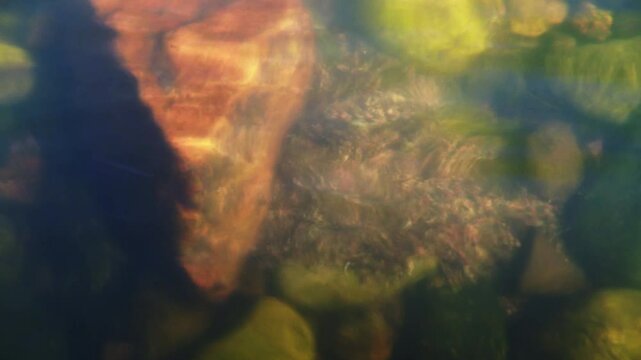 Pebbles swirling in the lee of a boulder under the Pecos River in New Mexico