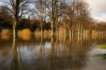 River Severn floods in The Quarry, Shrewsbury, Shropshire, flooding footpaths. Flooding caused by...