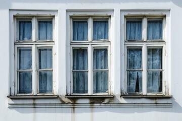Fototapeta premium Window Collection for Home Redecoration - Architectural Illustration on White Background