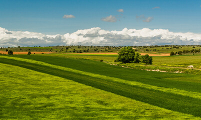 Road and fields, from the Pyrenees to Ribadesella