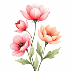 Fototapeta premium Delicate Pink and Peach Floral Arrangement Against White Background
