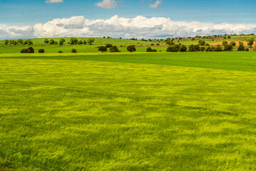 Road and fields, from the Pyrenees to Ribadesella