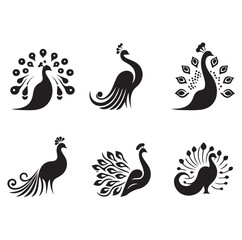 Fototapeta premium peacock set silhouette vector illustration