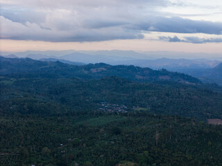 Vast green landscape stretches under cloudy sky at dusk in rural area