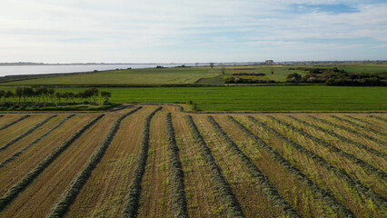 Aerial view of cultivated fields