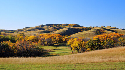 Obraz premium Majestic hills with autumn trees under a clear blue sky.