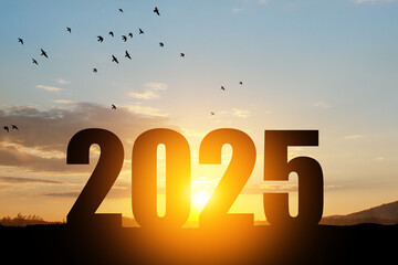 Silhouette 2025 with sunset sky at mountain and number like 2025 abstract background.