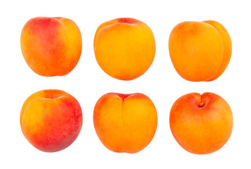 apricots path isolated on white