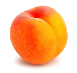 apricots path isolated on white