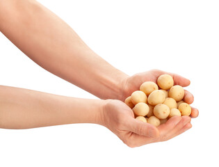 young potato in hand path isolated on white