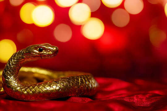 A&ntilde;o nuevo chino, a&ntilde;o de la serpiente en China. Serpiente sobre terciopelo rojo. 