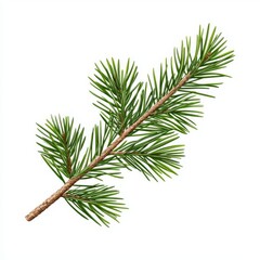 An isolated watercolor illustration of a pine branch. A hand-drawn Christmas tree with green needles and branches, representing natural forest greenery. Festive decor with a fir branch for the 2024