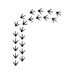 Chicken Footprints
