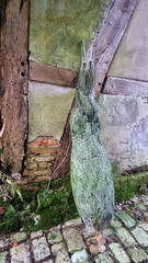 The Christmas tree wrapped in microplastics is forgotten on the timber frame