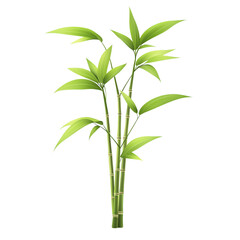 Fototapeta premium Vibrant bamboo plants in lush greenery. PNG
