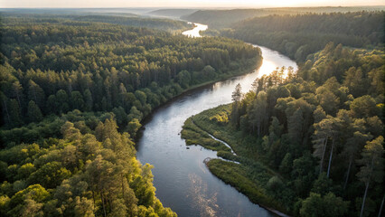 Serene River Winding Through Lush Green Forest at Sunset