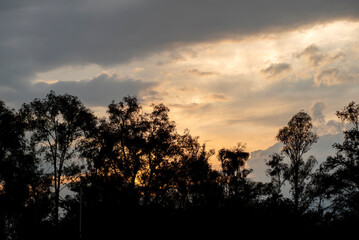 atardecer, cielo, sol, nube, árbol, paisaje, naturaleza, árbol, nube, anochecer, silueta, 