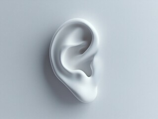 human ear in white