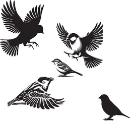 silhouette of clean vector of sparrow isolated