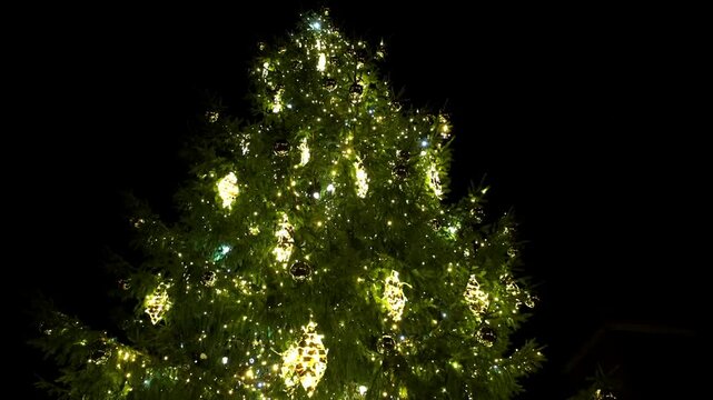 Riga, Latvia A large Christmas tree with lights and decorations on Plac Ratuszowy at night.