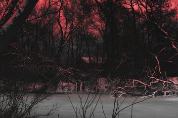 Lonely house in the woods, horror movie atmosphere, light in the darkness, Winter atmospheric black...