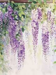 Obraz premium Wisteria Vines in Bloom with Delicate Purple Flowers 
